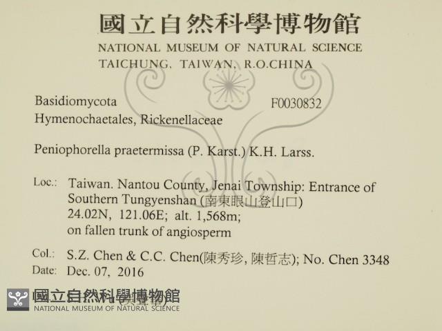 登錄號:F0030832藏品圖，第2張