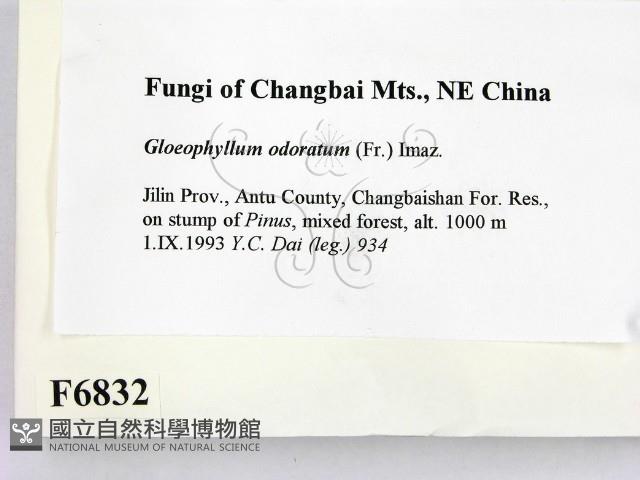 登錄號:F0006832藏品圖，第2張