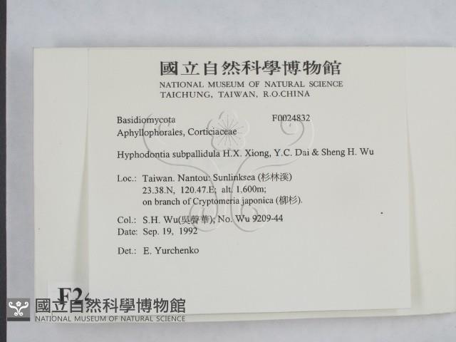 登錄號:F0024832藏品圖，第2張