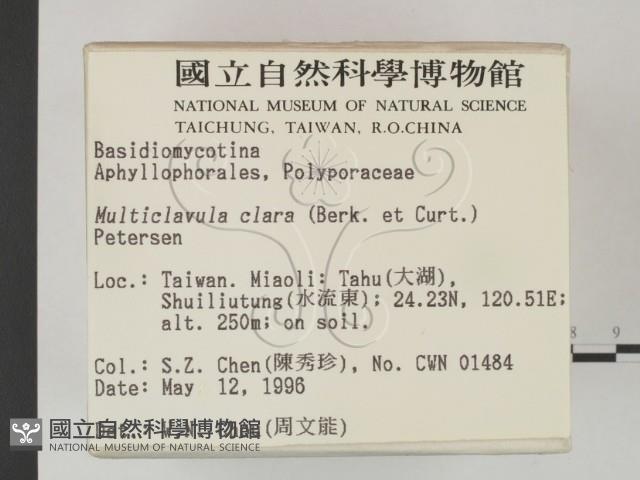 登錄號:F0004832藏品圖，第2張