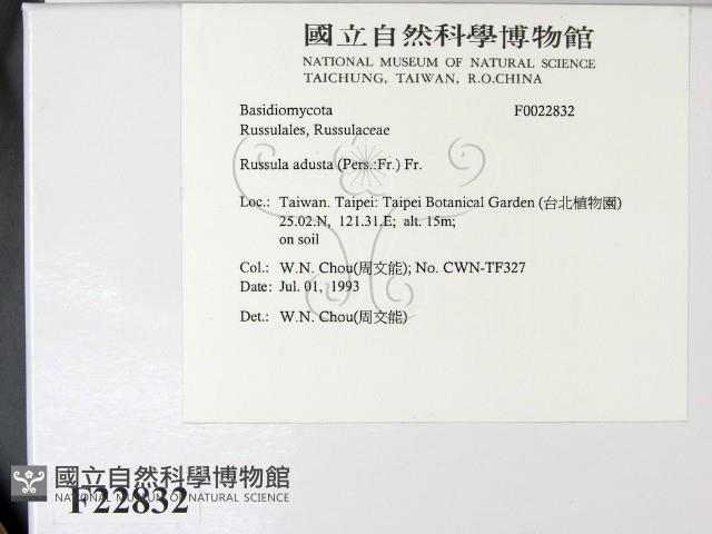 登錄號:F0022832藏品圖，第2張