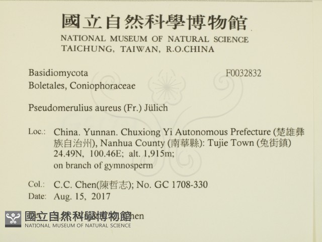 登錄號:F0032832藏品圖，第2張