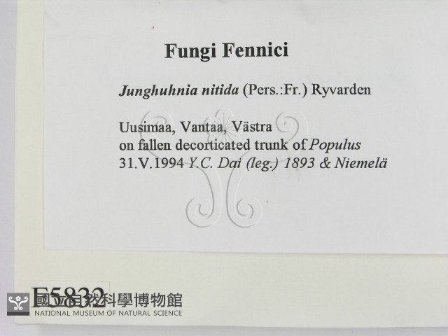 登錄號:F0005832藏品圖，第2張