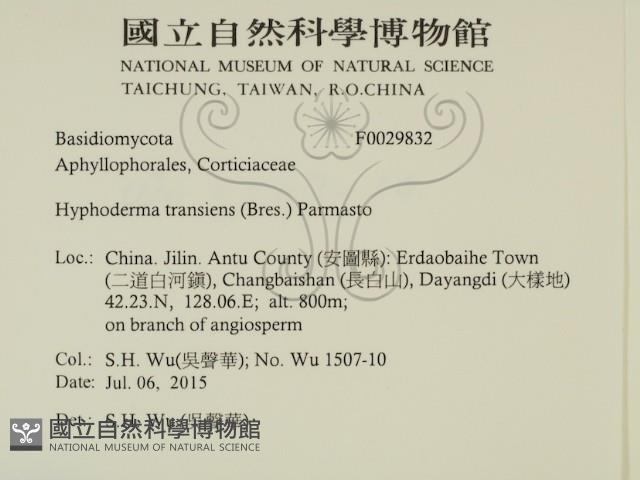 登錄號:F0029832藏品圖，第2張