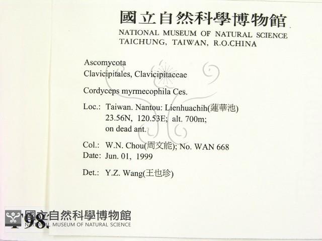 登錄號:F0009832藏品圖，第2張