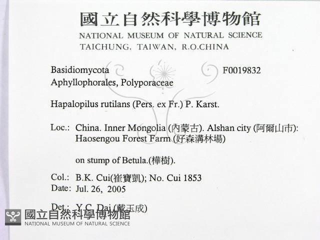 登錄號:F0019832藏品圖，第2張