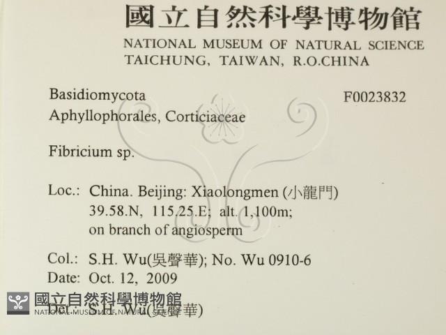 登錄號:F0023832藏品圖，第2張