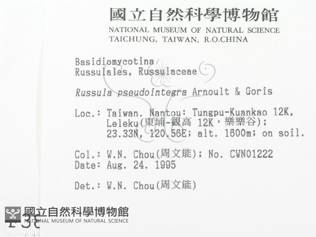 登錄號:F0003832藏品圖，第2張