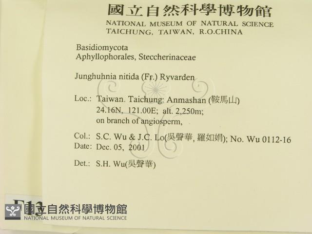 登錄號:F0013832藏品圖，第2張