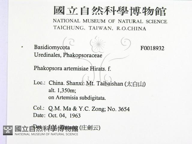 登錄號:F0018932藏品圖，第2張