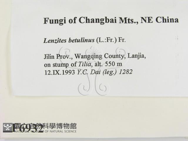 登錄號:F0006932藏品圖，第2張