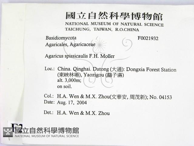 登錄號:F0021932藏品圖，第2張