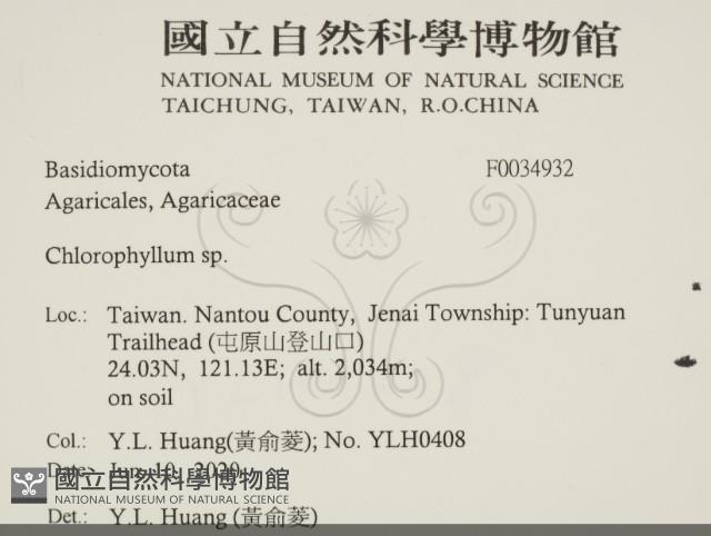 登錄號:F0034932藏品圖，第2張