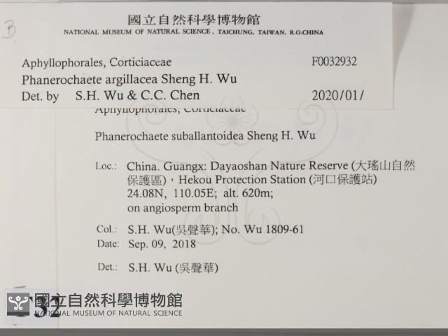 登錄號:F0032932藏品圖，第2張