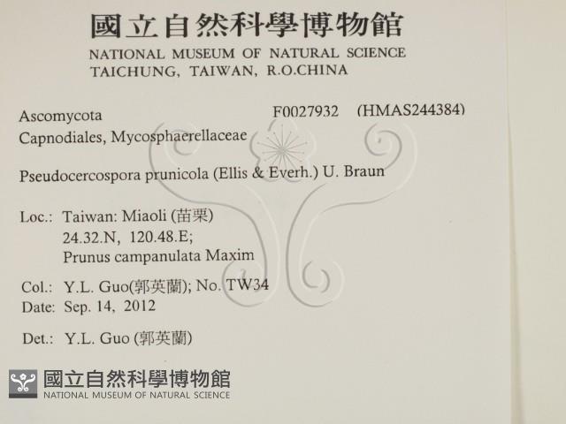 登錄號:F0027932藏品圖，第2張