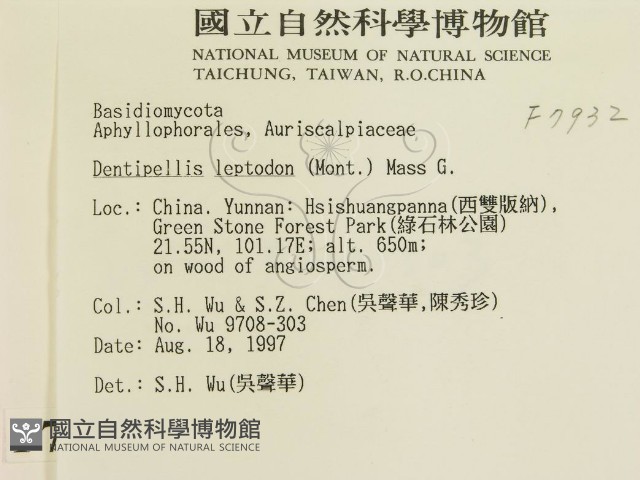 登錄號:F0007932藏品圖，第2張