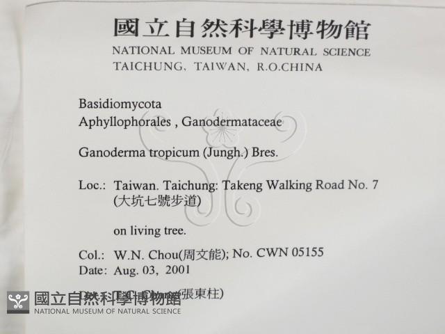登錄號:F0015932藏品圖，第2張