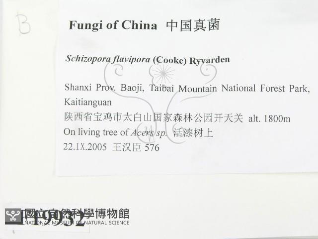 登錄號:F0019932藏品圖，第2張