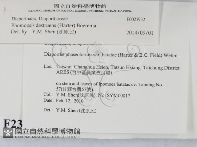 登錄號:F0023932藏品圖，第2張