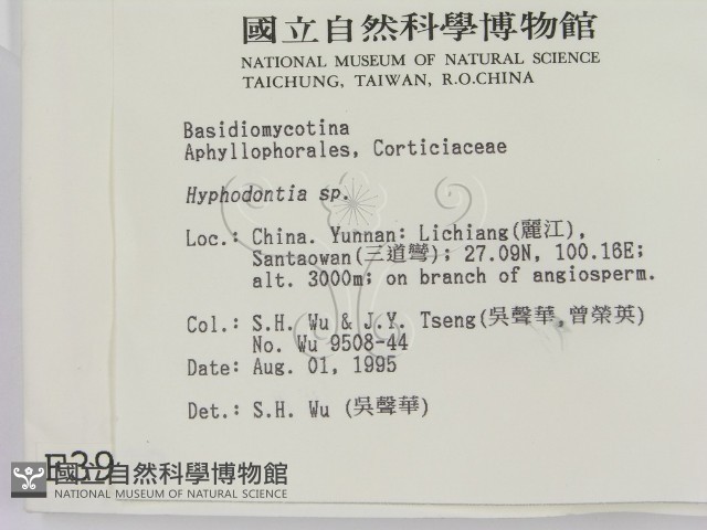 登錄號:F0003932藏品圖，第2張