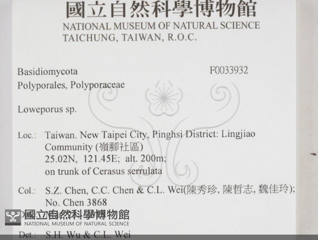 登錄號:F0033932藏品圖，第2張