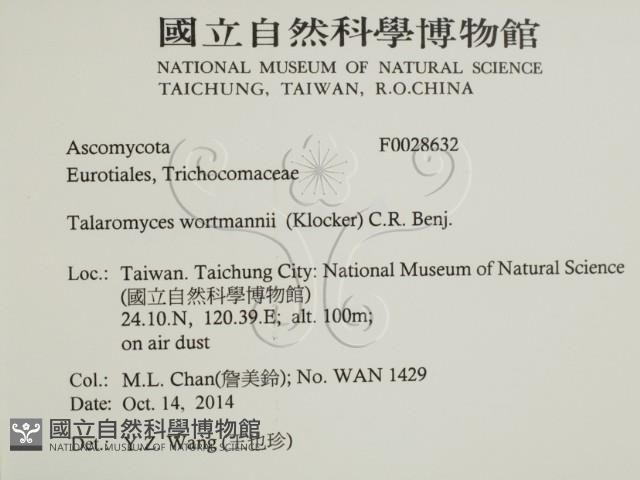 登錄號:F0028632藏品圖，第2張