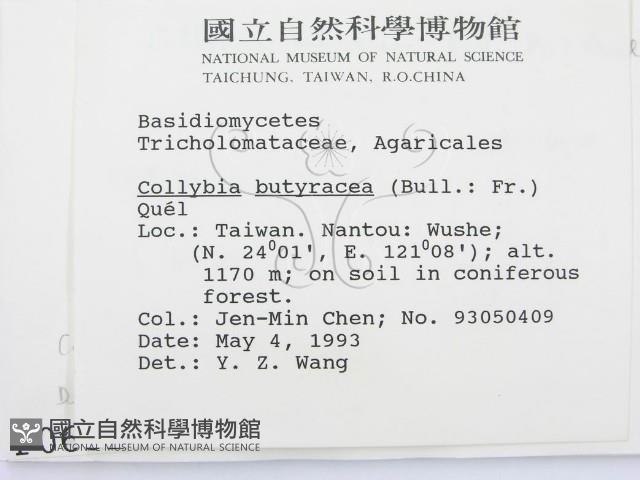登錄號:F0000632藏品圖，第2張