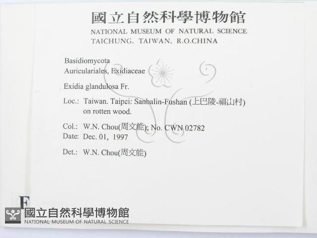 登錄號:F0010632藏品圖，第2張