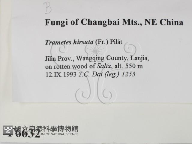 登錄號:F0006632藏品圖，第2張