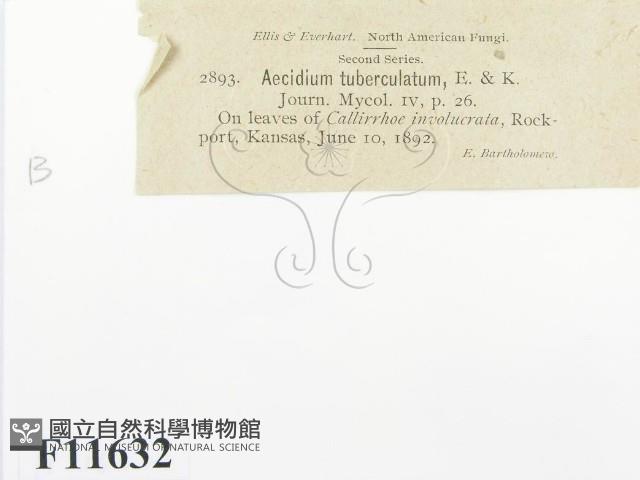 登錄號:F0011632藏品圖，第2張