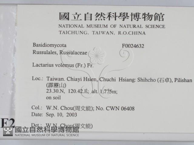 登錄號:F0024632藏品圖，第2張