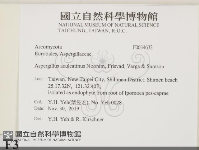 登錄號:F0034632藏品圖，第2張