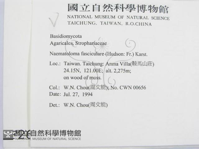 登錄號:F0002632藏品圖，第2張