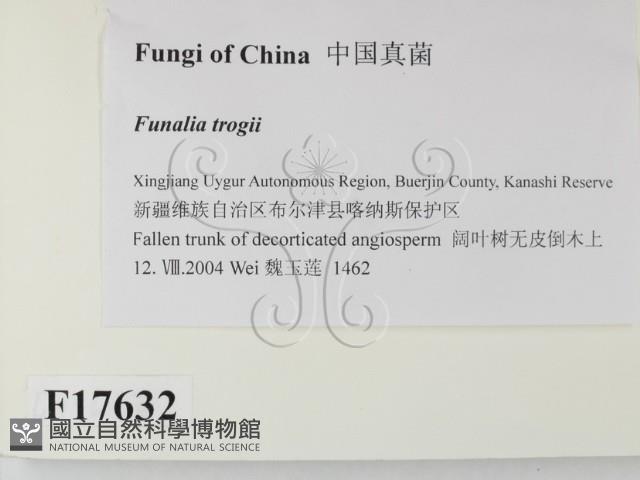 登錄號:F0017632藏品圖，第2張