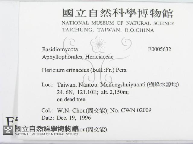 登錄號:F0005632藏品圖，第2張