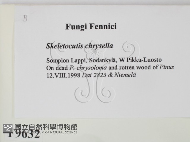 登錄號:F0009632藏品圖，第2張