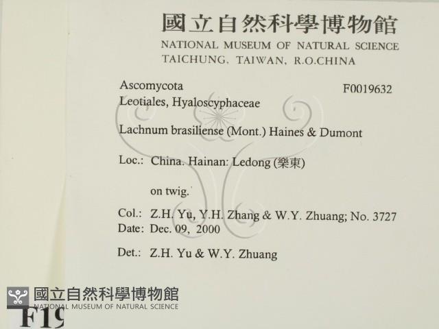 登錄號:F0019632藏品圖，第2張