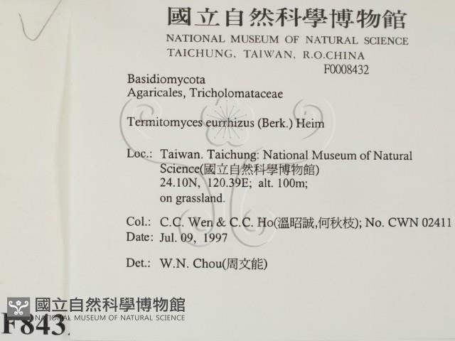 登錄號:F0008432藏品圖，第2張