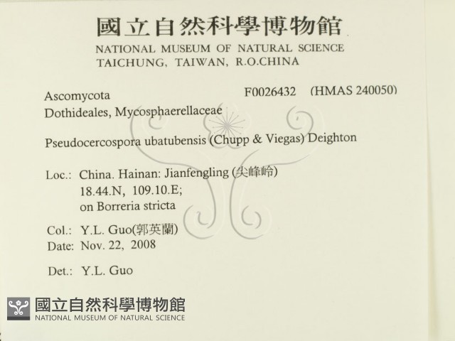 登錄號:F0026432藏品圖，第2張