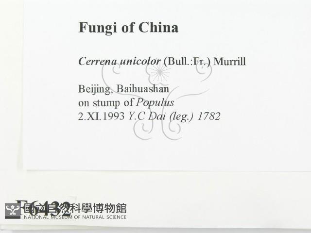 登錄號:F0006432藏品圖，第2張