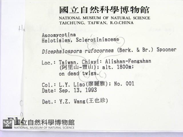 登錄號:F0001432藏品圖，第2張