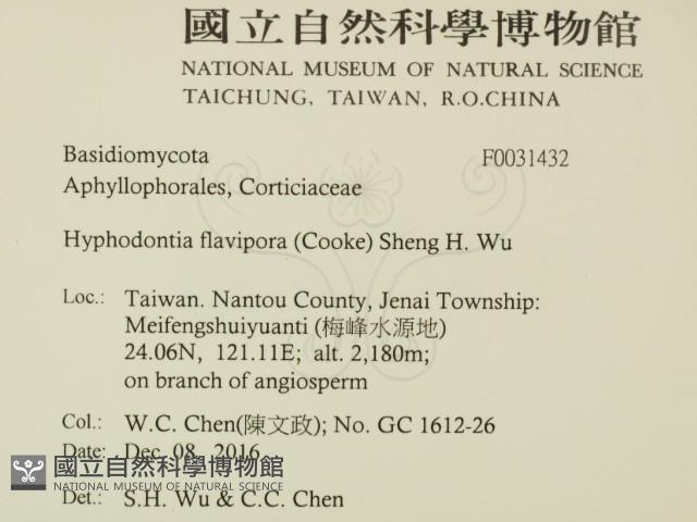 登錄號:F0031432藏品圖，第2張