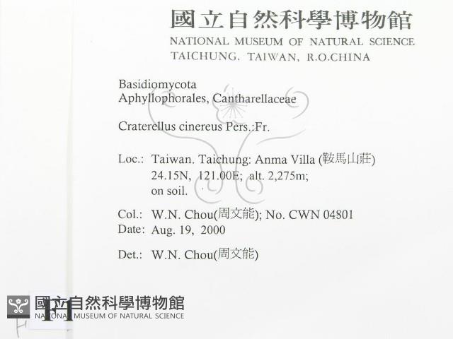 登錄號:F0014432藏品圖，第2張