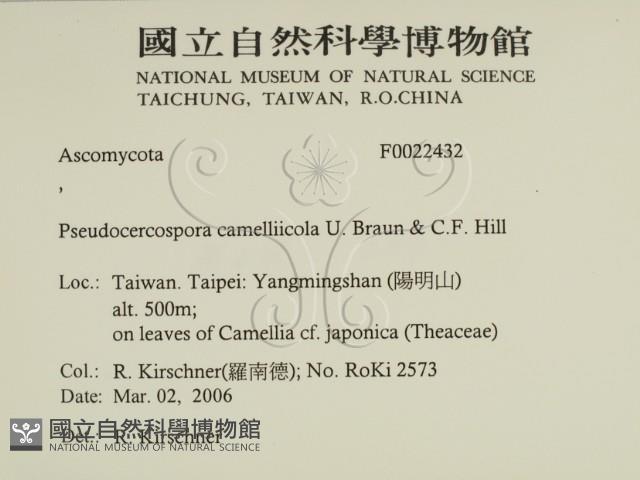 登錄號:F0022432藏品圖，第2張