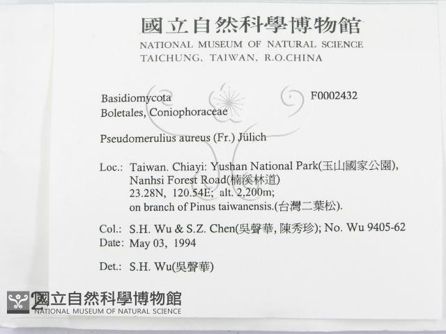 登錄號:F0002432藏品圖，第2張