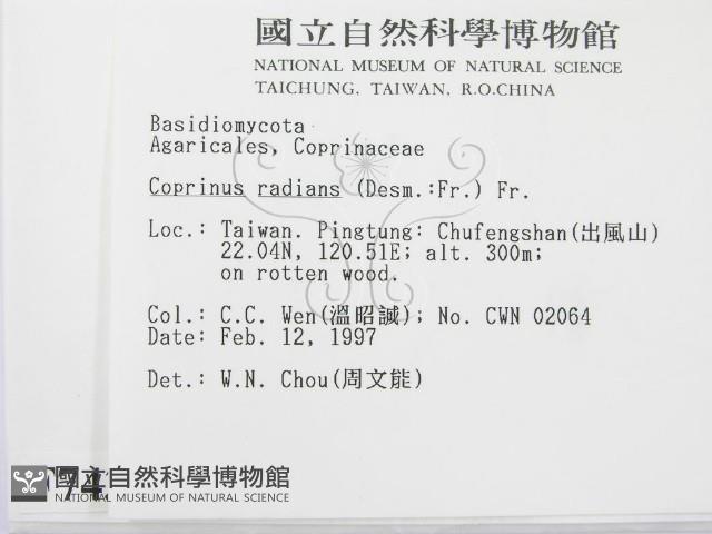 登錄號:F0007432藏品圖，第2張