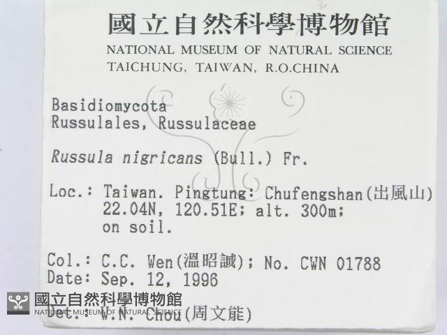 登錄號:F0005432藏品圖，第2張