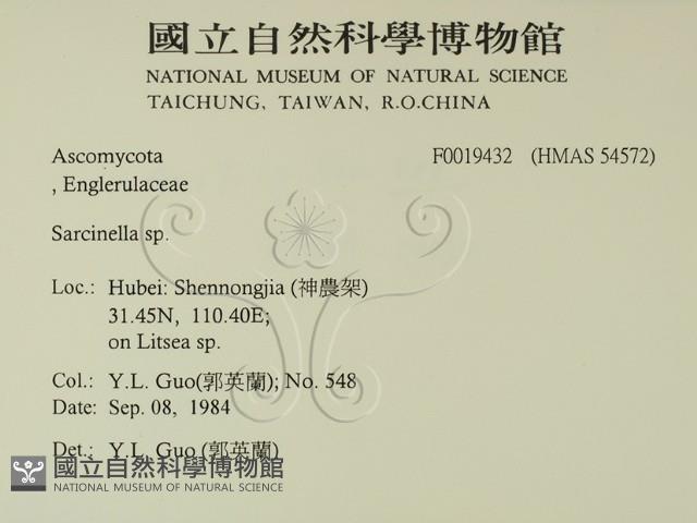 登錄號:F0019432藏品圖，第2張