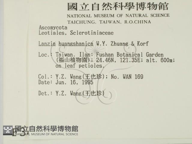 登錄號:F0003432藏品圖，第2張