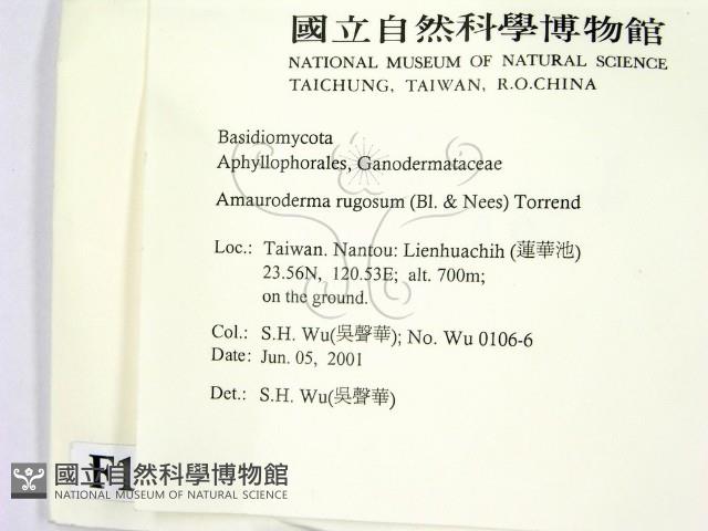 登錄號:F0013432藏品圖，第2張